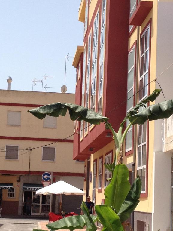 Pension La Puntica Lo Pagán Oda fotoğraf